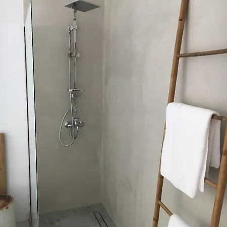 Aristotelia Gi - Panorama