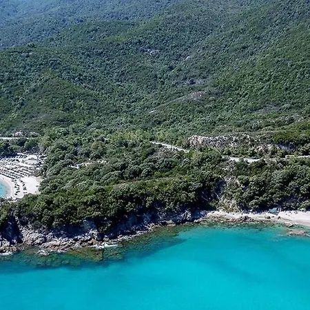 Aristotelia Gi - Panorama *