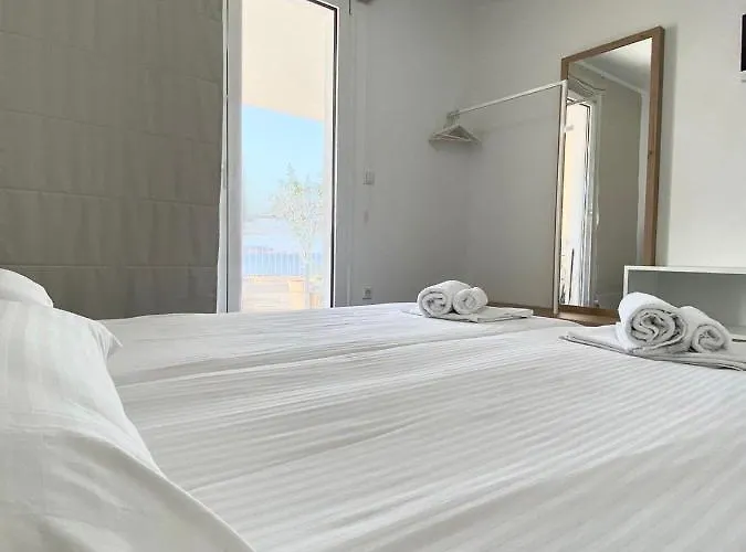 Aristotelia Gi - Panorama