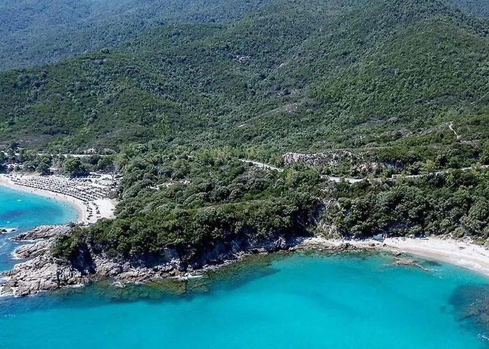 Aristotelia Gi - Panorama *