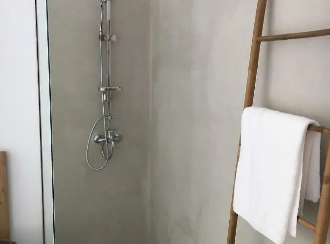 Aristotelia Gi - Panorama