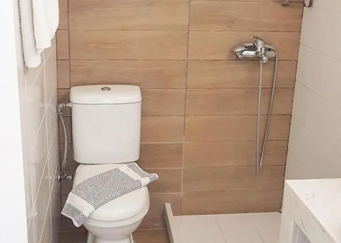 Aristotelia Gi - Panorama Apartament Olympiada