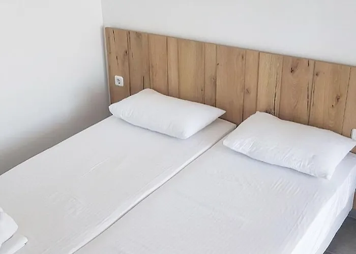 Aristotelia Gi - Panorama